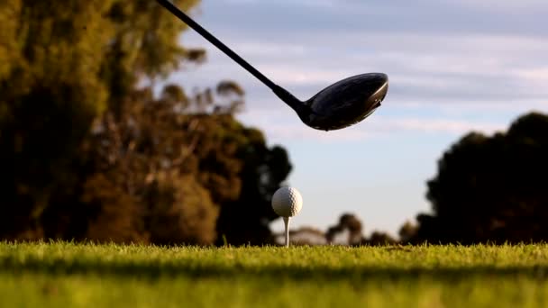 Close Golfer Teeing — Vídeo de Stock