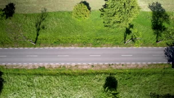 Aerial Drone Flying Lush Green Fields Next Road — Video Stock