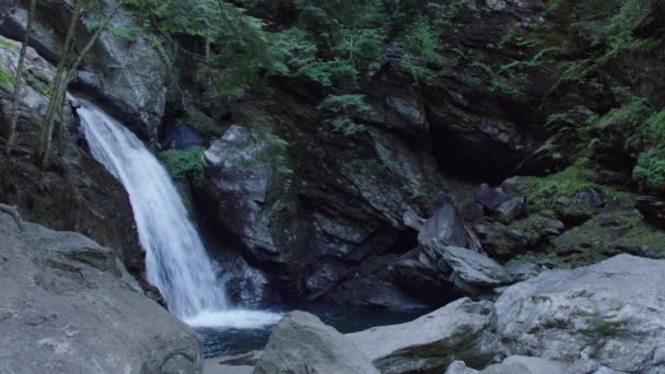 Mountain Brook Waterfall Static — Vídeos de Stock