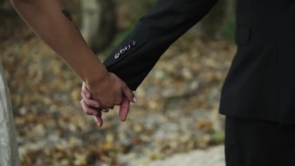 Wedding Couple Holding Hands Slow Motion — Stockvideo