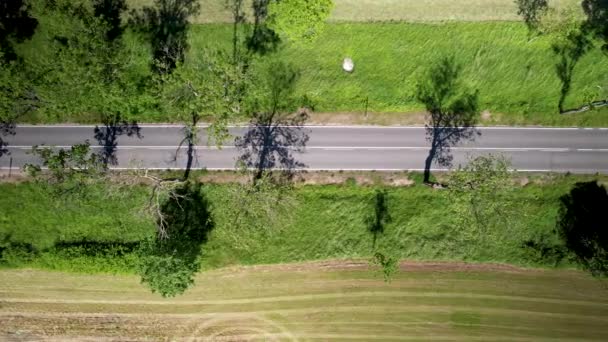 Aerial Drone Views Shadows Trees Farmsland — ストック動画