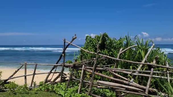 Deserted Pristine Beach Острове Бали Индонезия Песок Океанские Волны Растительность — стоковое видео