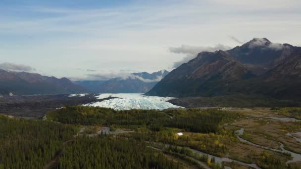 Aerial Slide Brooks Range Mountains Valley Dense Spruce Forests Multibranch — Stok video