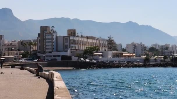 Sunny Promenade View Nicosia Ocean Waters Shimmering Zoom Car Park — 비디오