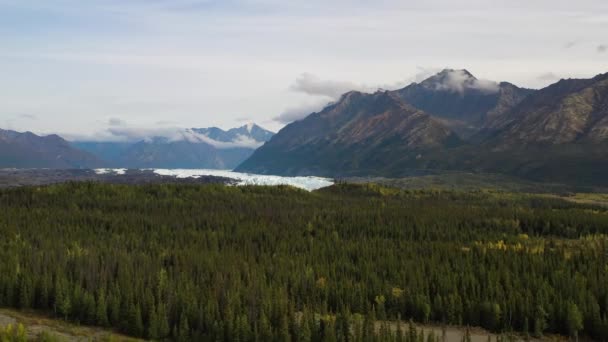 Aerial Flyover Portage Valley Spruce Forests Mountains Snowcapped Portage Glacier — ストック動画