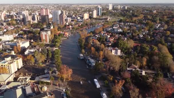 Aerial Flyover Tigre Suburban River Trees Shore Surrounded Buenos Aires — Stock videók