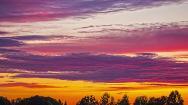 Cielo Infuocato Con Paesaggio Grigio Scuro Che Muove Sugli Alberi — Video Stock