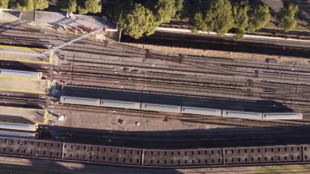 Aerial Overhead Shot Showing Train Arriving Federico Lacroze Station Buenos — Vídeo de Stock