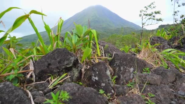 Lassú Mozgás Lövés Sziklaképződés Tetején Esőerdő Fortuna Costa Rica Festői — Stock videók