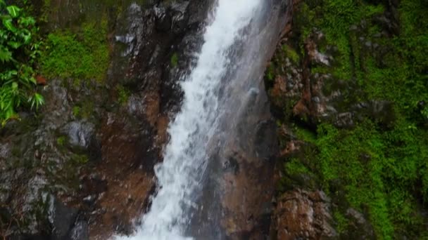 Tilting Shot Scenic View Fortune Water Falls Rain Forest Costa — Stock videók