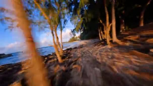 Fpv Drone Shot Forest Low Beach Sunset Hawaii Usa — Vídeo de Stock