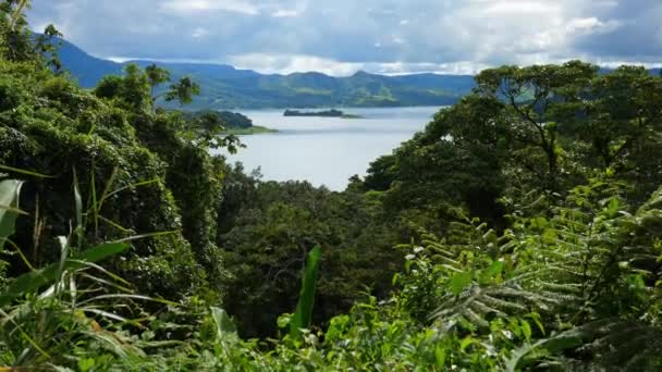 Full Shot Rain Forest Costa Rica Scenic View Lake Arenal — ストック動画