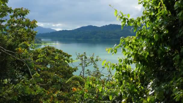 Steady Shot Plants Revealing Scenic View Lake Arenal Costa Rica — Stockvideo