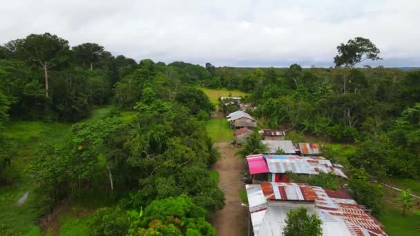 Aerial View Moving Forward Shot Community Middle Forest Amazon Colombia — Vídeo de Stock