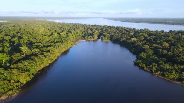 Aerial View Moving Forward Shot Scenic View Amazon River Its — стокове відео