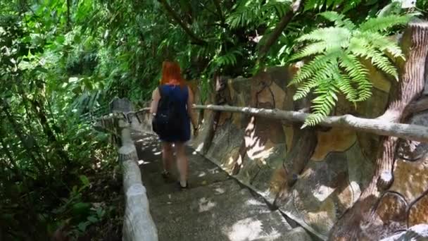 Shot Woman Walking Stairs Fortune Bridge Costa Rica — 비디오
