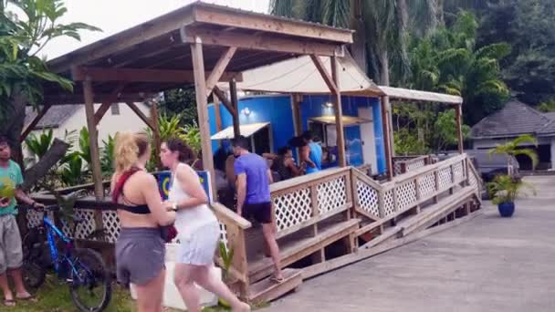 Static Shot Tourists Walking Sitting Area Beachside Hana Hawaii Daytime — Stockvideo