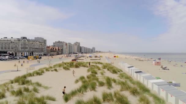 Aerial View People Groenendijk Strand Beach Summer Nieuwpoort Belgium — Stockvideo