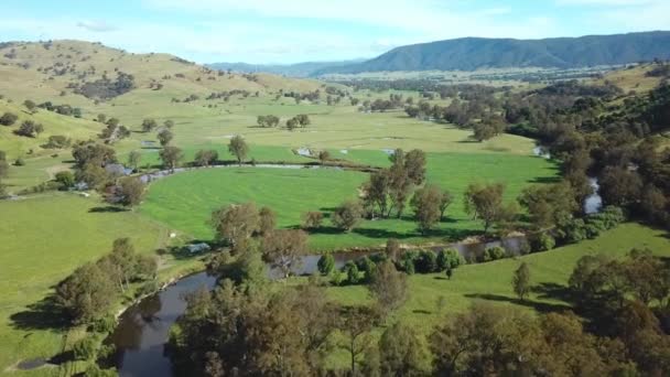 Drone View Looking Upstream Meanering Mitta Mitta River Pigs Point — Vídeos de Stock