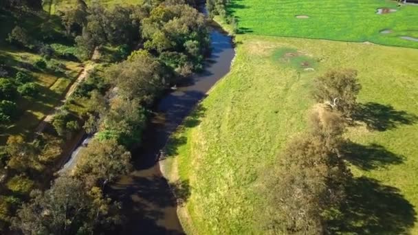 Drone View Mitta Mitta River Pigs Point Tallangatta South North — Video