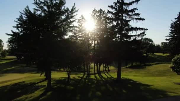 Pan Tree Silhouette Sunset Golf Course Cinematic Drone Shot — Stok Video