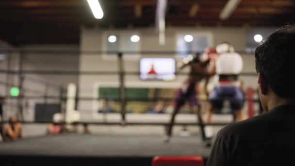 Blur Shot Two Boxers Practicing Each Other Ring Coach Monitoring — Stock Video