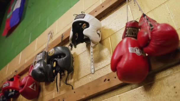 Статический Снимок Боксерского Зала Висят Несколько Пар Цветных Боксерских Перчаток — стоковое видео