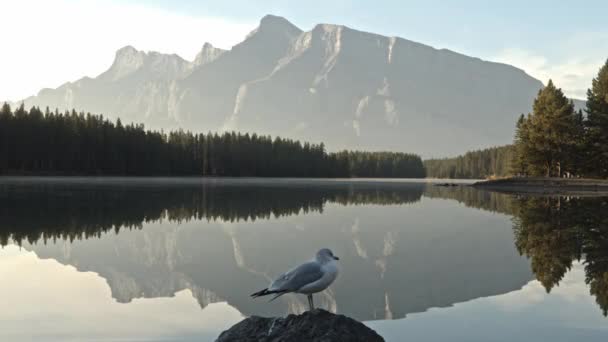 Sunrise Reflection Two Jack Lake — Stok video