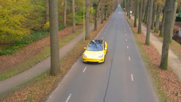 Yellow Tesla Car Driving Road Passing Trees Autumn Aerial Tracking — Stock video
