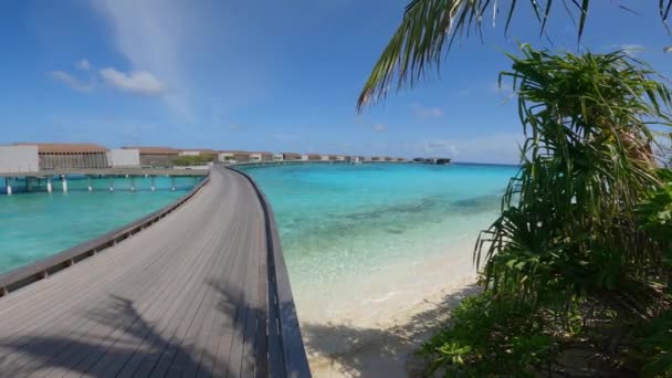 Tropical Paradise Water Villas Walkway Maldives — Vídeo de Stock