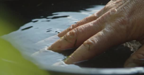 Close Man Hand Gently Touches Surface Water — Video