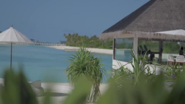 Stunning Pan Shot Resort Blue Lagoon Maldives Full — Video