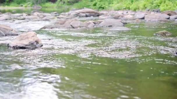 Stream Flowing Pond Slow Motion Summer — Stock videók