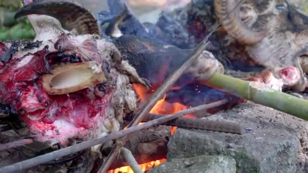 Head Goat Burned Fire Firewood Stabbing Bamboo Eid Adha Celebration — Stok video