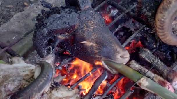 Head Goat Burned Fire Firewood Eid Adha Celebration 2022 Indonesian — 비디오