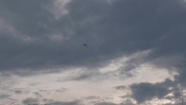 Distant View Kite Flying Dark Cloudy Sky Low Angle Wide — Stockvideo