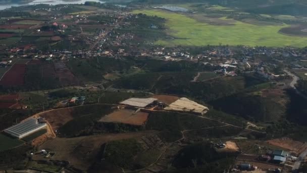 Aerial View Coffee Field Plantation Farm Asia Vietnam Nang Drone — Stockvideo