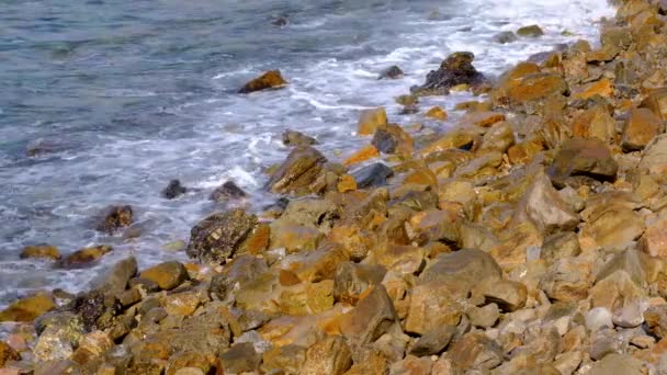 Ocean Waves Rolling Crashing Remote Rugged Golden Rocky Coastal Shoreline — Stockvideo