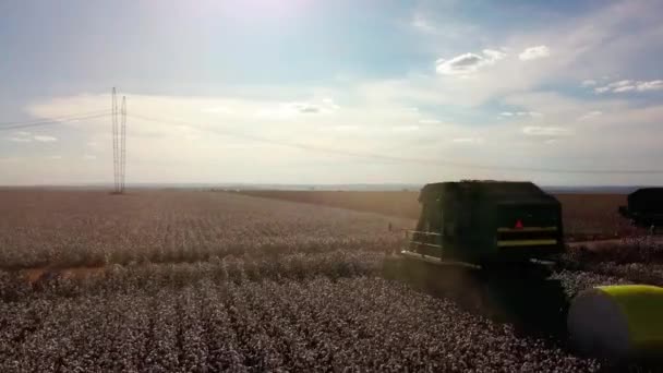 Tractor Algodón Separador Cosechadora Formación Medida Que Reúnen — Vídeo de stock