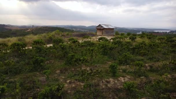 Scenic Aerial Coffee Plantation Vietnam Dramatic Sunshine Farm Field Sunset — Stock videók