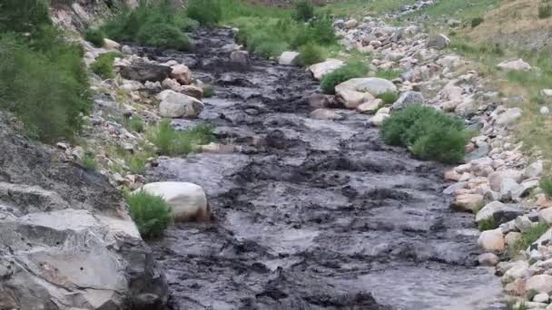 Big Thompson River Inundated Black Soot Mud Burn Scar Became — Vídeo de stock