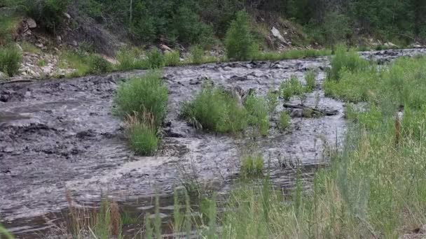 Mudslide Burn Scar Glen Haven Colorado Big Thompson River Runs — Wideo stockowe