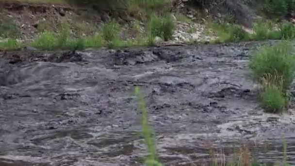 Burn Scar Mud Slide River Glen Haven Colorado July 2022 — Wideo stockowe