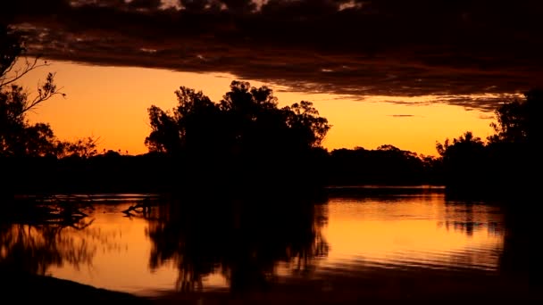 Close Sunset Murray River Loxton South Australia — Video Stock