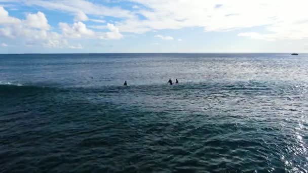 Pull Out Shot Surfers Sitting Boards Waiting Waves Hawaii Sunny — Vídeo de stock