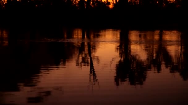 Pan Sunset Murray River Loxton South Australia — Video Stock