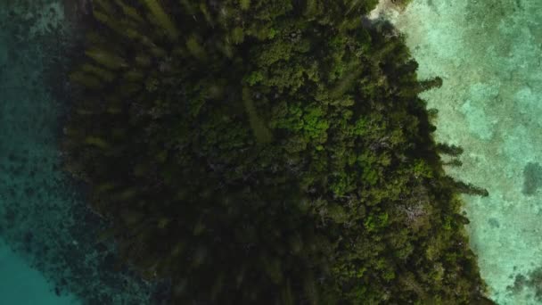 Looking Straight Shoreline Isle Pines Island Archipelago New Caledonia Aerial — Video Stock