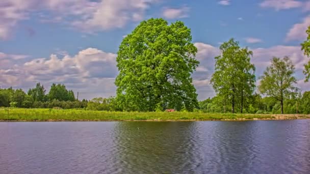 Clouds Cross Windy Sky While Trees Sky Reflect Lake Cloudscape — Vídeo de Stock