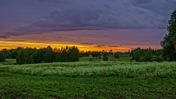 Orange Sunset Droplets Lens Light Rain Falls Time Lapse — Stock video