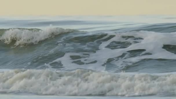 Green Wave Roll Break Slow Motion Dutch Beach Sunset Glow — Stockvideo